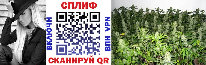 Где найти наркотики Выборг Cocaine  БУТИРАТ  Меф мяу мяу  ЭКСТАЗИ  Каннабис  KRAKEN зеркало  ГАШИШ 