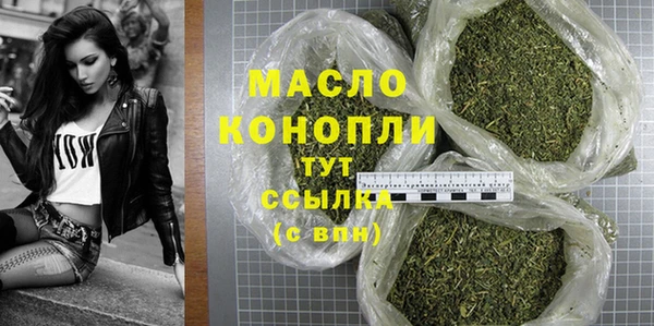 хмурый Болотное