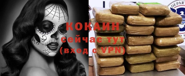 молекула духа Приозерск