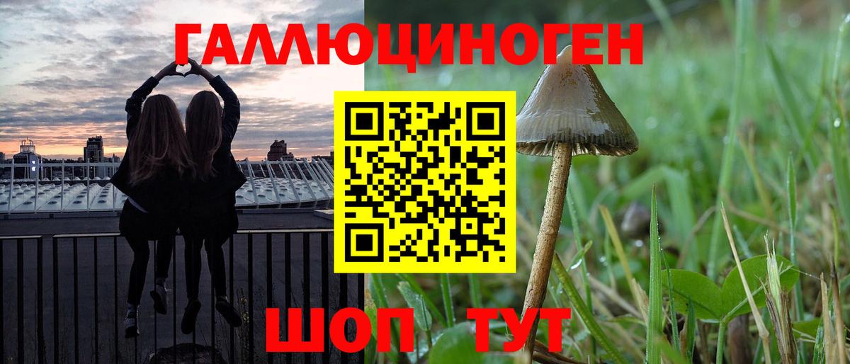 Псилоцибиновые грибы прущие грибы Выборг